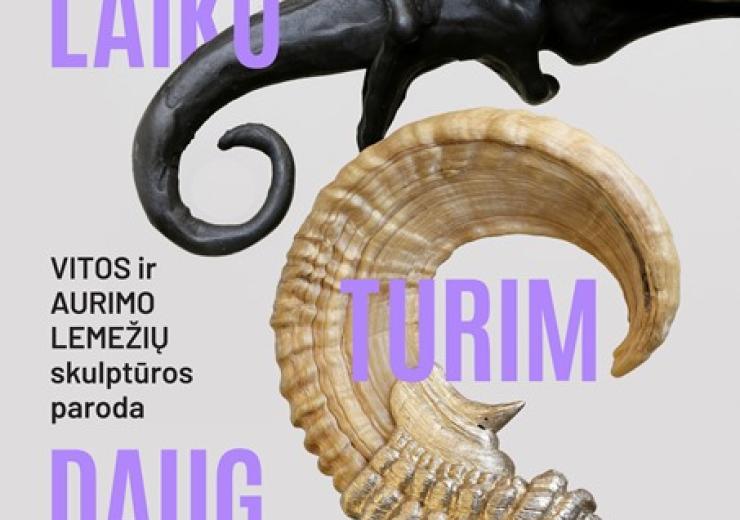 Vitos ir Aurimo Lemežių skulptūros paroda LAIKO TURIM DAUG